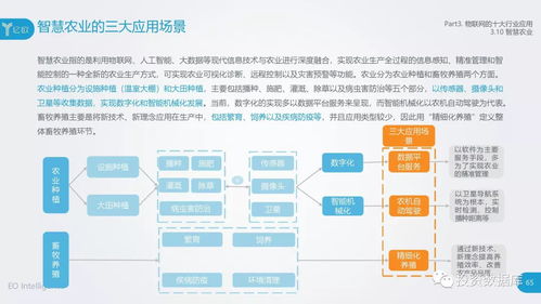 2018中國物聯(lián)網(wǎng)應(yīng)用研究報(bào)告 服務(wù)賦能，連接未來